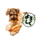 カッコいいカール！一言（個別スタンプ：5）