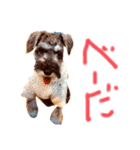 カッコいいカール！一言（個別スタンプ：7）