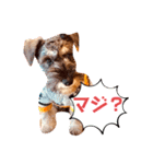 カッコいいカール！一言（個別スタンプ：11）