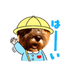 カッコいいカール！一言（個別スタンプ：12）