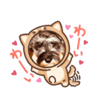 カッコいいカール！一言（個別スタンプ：16）