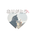 ぴことぴの。ワクワクすたんぷ（個別スタンプ：16）