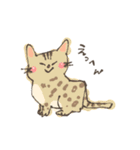 ねこ大好き！I love cats ！（個別スタンプ：3）