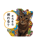 本島家の猫（個別スタンプ：2）