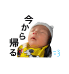 蓮くんスタンプ❶（個別スタンプ：8）