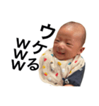 蓮くんスタンプ❶（個別スタンプ：12）