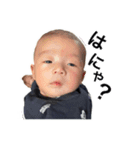 蓮くんスタンプ❶（個別スタンプ：13）