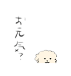 手書きトイプードル♂②（個別スタンプ：12）