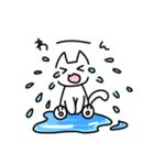 ただのしろいねこ（個別スタンプ：12）