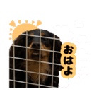 はちたんのスタンプ（個別スタンプ：2）