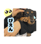 はちたんのスタンプ（個別スタンプ：6）