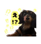 はちたんのスタンプ（個別スタンプ：10）