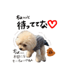 松山家やで♡（個別スタンプ：21）