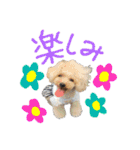 松山家やで♡（個別スタンプ：23）