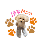 松山家やで♡（個別スタンプ：24）