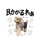松山家やで♡（個別スタンプ：25）