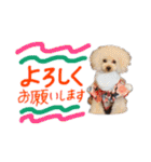 松山家やで♡（個別スタンプ：26）