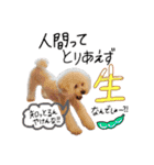 松山家やで♡（個別スタンプ：40）