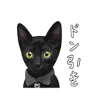 苦悩の黒猫（日本語Ver.）（個別スタンプ：6）