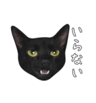 苦悩の黒猫（日本語Ver.）（個別スタンプ：18）