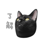 苦悩の黒猫（日本語Ver.）（個別スタンプ：20）