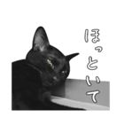 苦悩の黒猫（日本語Ver.）（個別スタンプ：38）