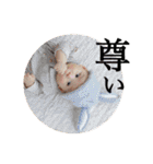 けんちゃん1st＊Birthday記念スタンプ♡（個別スタンプ：39）