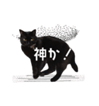 30人の黒猫Plus（個別スタンプ：5）