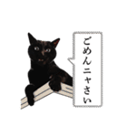 30人の黒猫Plus（個別スタンプ：11）