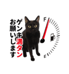 30人の黒猫Plus（個別スタンプ：21）