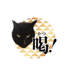 30人の黒猫Plus（個別スタンプ：25）