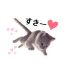 猫のアルくん1（個別スタンプ：10）