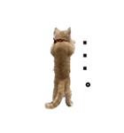 猫のアルくん1（個別スタンプ：17）