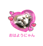 かわいいぷりんだにゃん（個別スタンプ：2）
