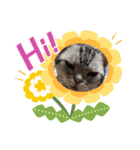 かわいいぷりんだにゃん（個別スタンプ：3）