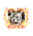 かわいいぷりんだにゃん（個別スタンプ：15）