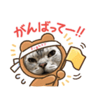 かわいいぷりんだにゃん（個別スタンプ：20）