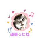かわいいぷりんだにゃん（個別スタンプ：21）