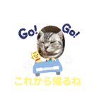 かわいいぷりんだにゃん（個別スタンプ：25）