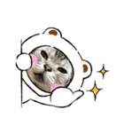 かわいいぷりんだにゃん（個別スタンプ：34）