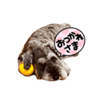 モヒカン・カールくんの一言（個別スタンプ：2）
