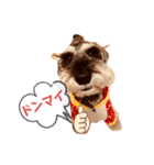 モヒカン・カールくんの一言（個別スタンプ：8）