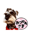 モヒカン・カールくんの一言（個別スタンプ：14）