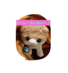 ねこねこですよ（個別スタンプ：1）