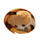 ねこねこですよ（個別スタンプ：2）
