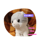 ねこねこですよ（個別スタンプ：7）