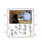 にゃんずandおまごちゃん2（個別スタンプ：18）