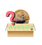 てるてるてるてる1101（個別スタンプ：4）