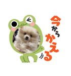 てるてるてるてる1101（個別スタンプ：5）