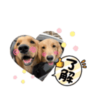 柚桃スタンプ（個別スタンプ：7）